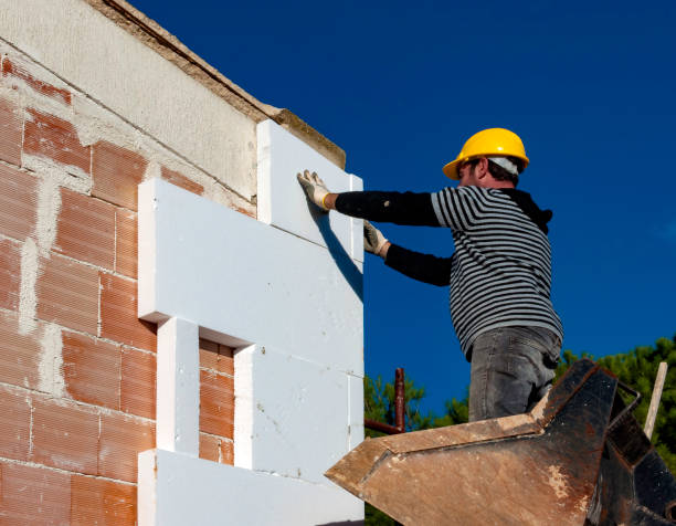 Best Insulation Contractors for Homes  in Bear, DE