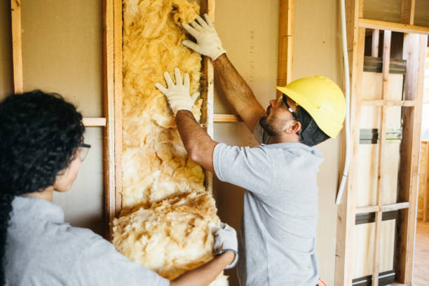 Best Residential Insulation Services  in Bear, DE